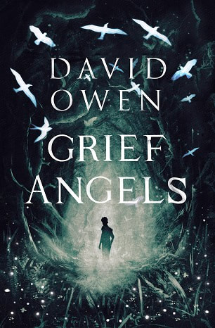 David Owen Grief Angels book cover